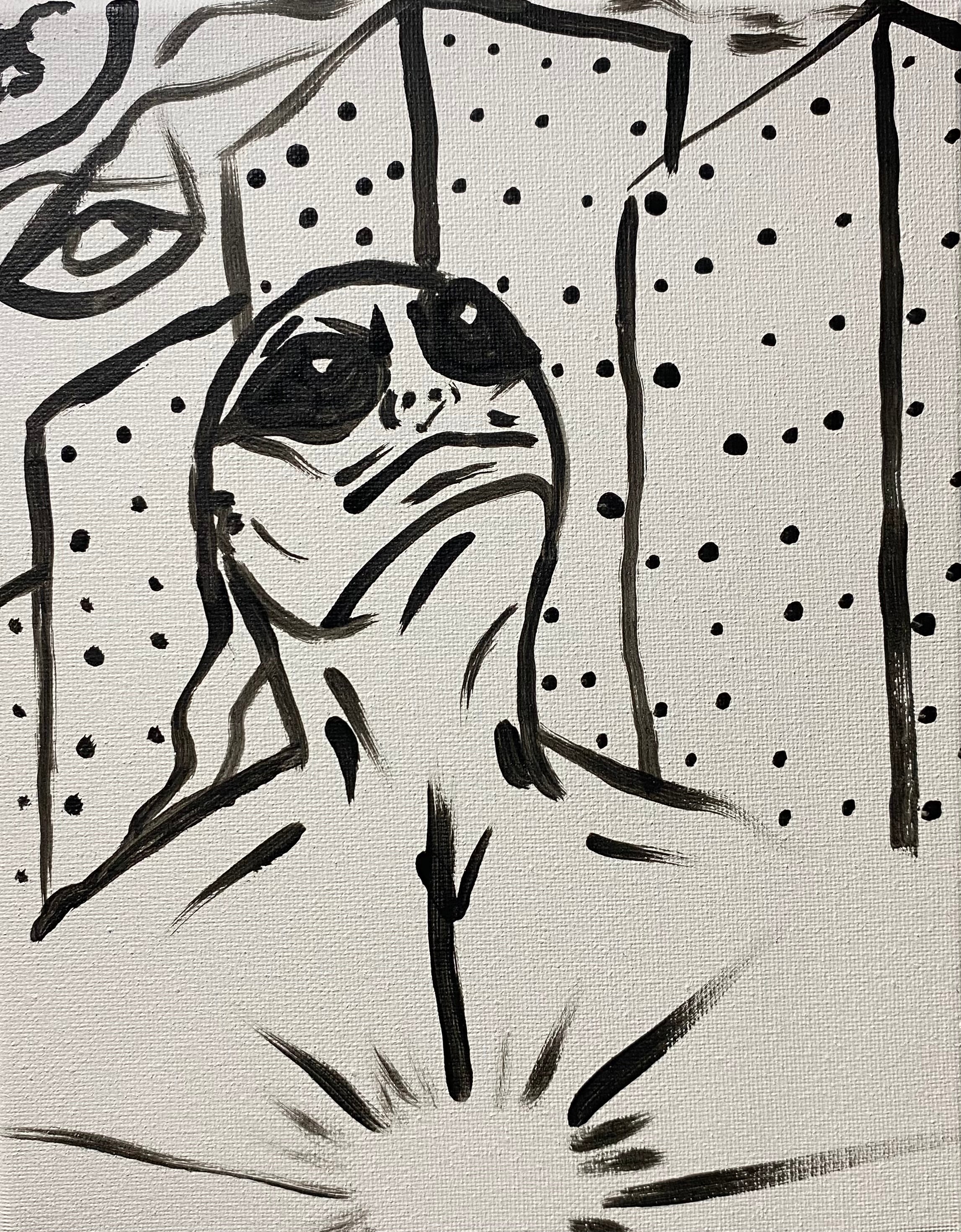 Late nights in the higher dimensions